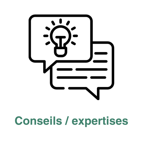 Conseils Expertises